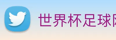 世界杯足球网 logo